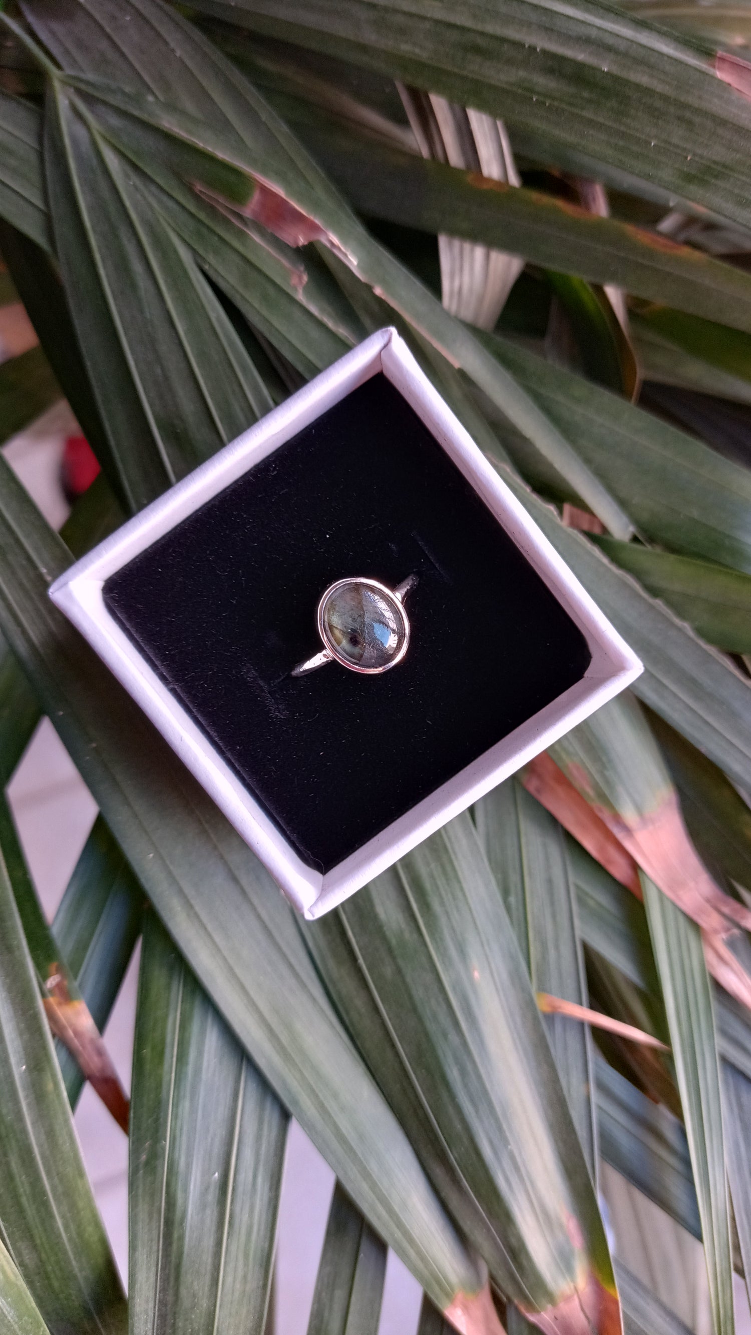 Joyería de Plata
