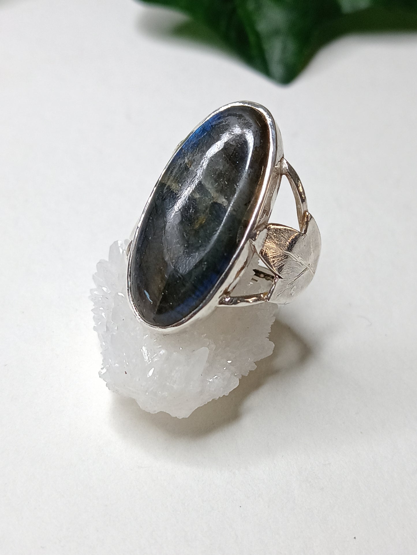 Anillo "Hiedra" en plata 925