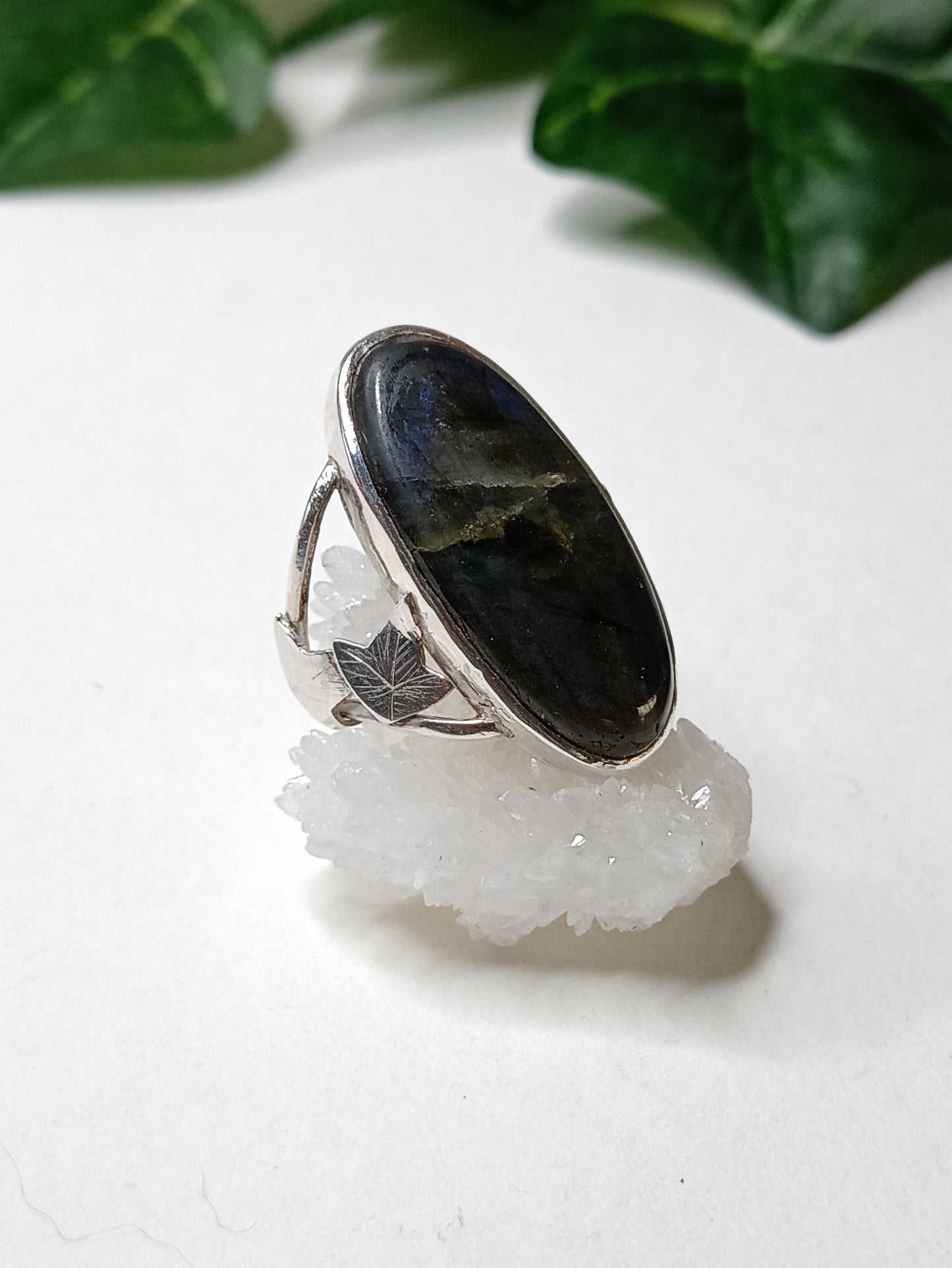 Anillo "Hiedra" en plata 925