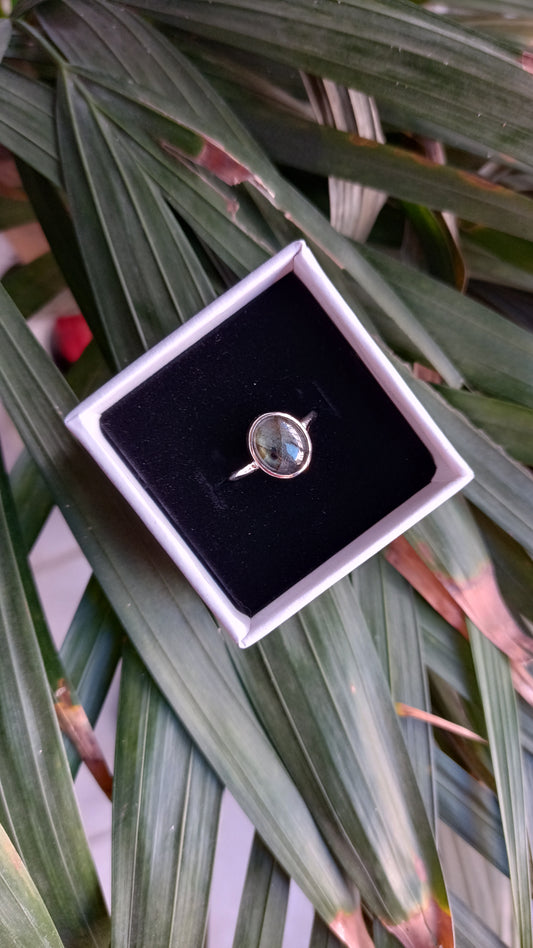Anillo "Lawrence" en plata 925
