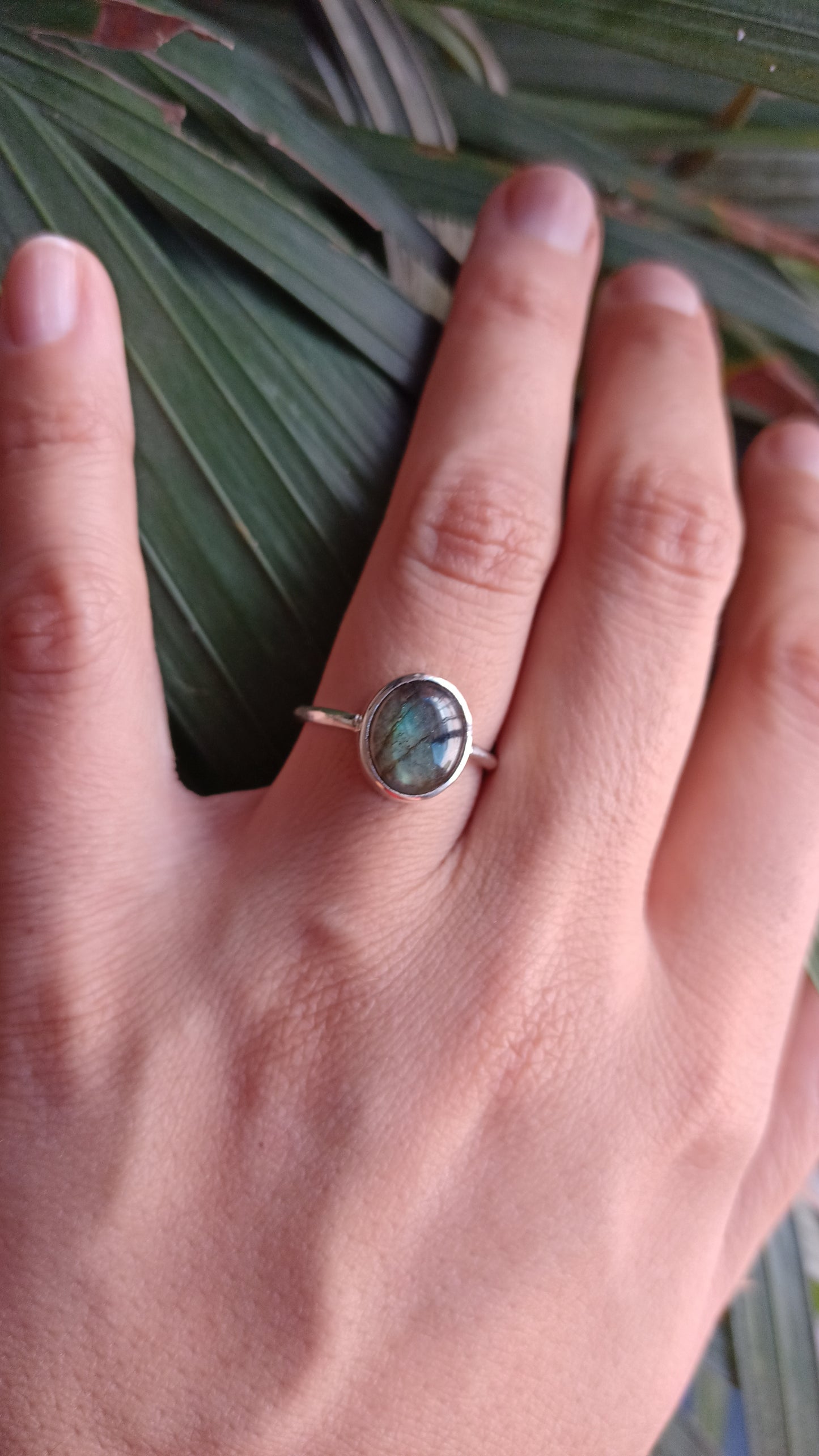 Anillo "Lawrence" en plata 925